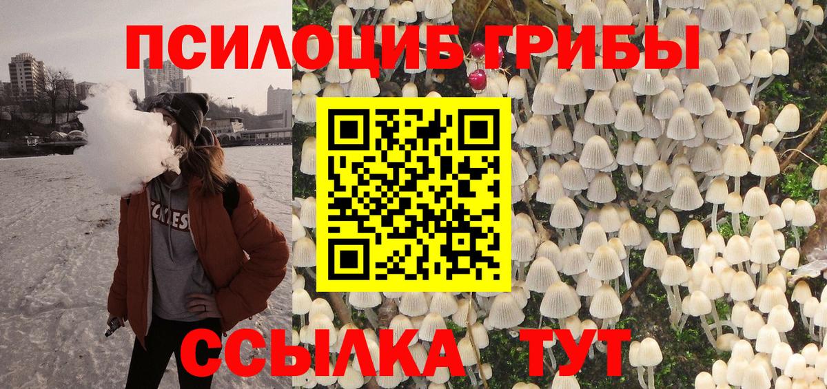 Галлюциногенные грибы Cubensis Славгород