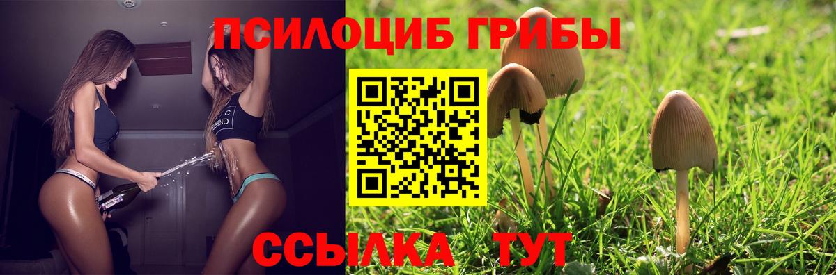 Галлюциногенные грибы Cubensis  Вход с VPN  Славгород 